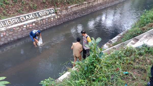 IMG-20241113-WA0078