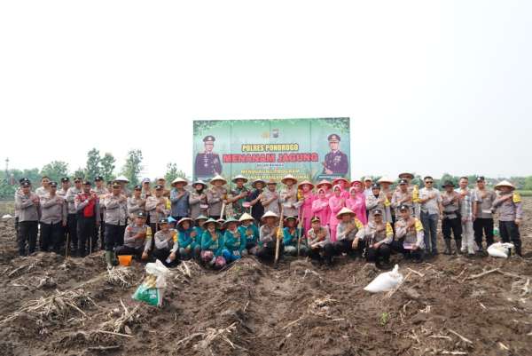 IMG-20241113-WA0095