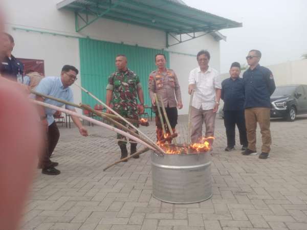IMG-20241126-WA0144