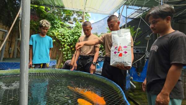IMG-20251105-WA0081