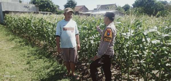 IMG-20260603-WA0006