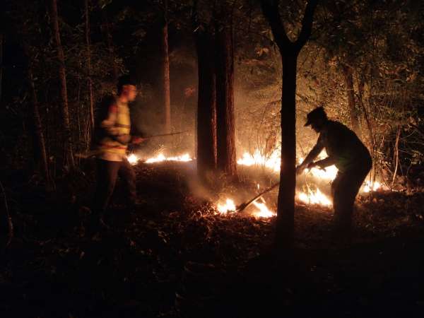 IMG-20260721-WA0101